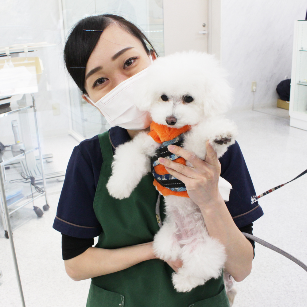 卒業犬のちゃちゃまるくんとスイミーちゃん☆